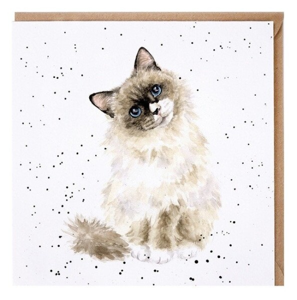 Přání Wrendale Designs Paws for Thought, 15x15 cm - Kočka