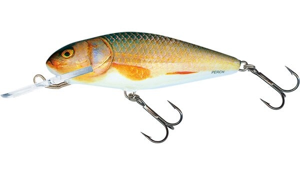 Salmo Wobler Perch Deep Runner 8cm - Real Roach,Salmo Wobler Perch Deep Runner 8cm - Real Roach
