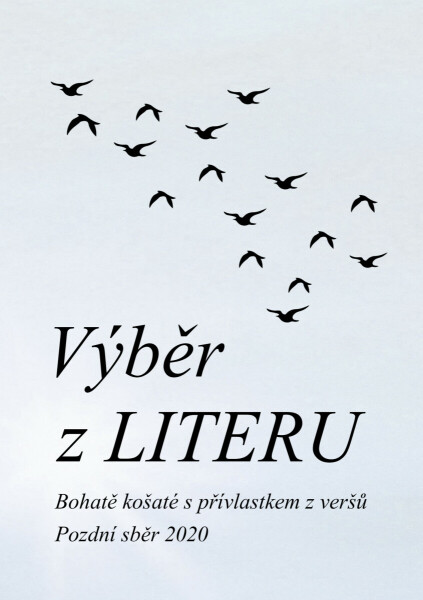 Výběr z LITERU - Čeněk Pekař