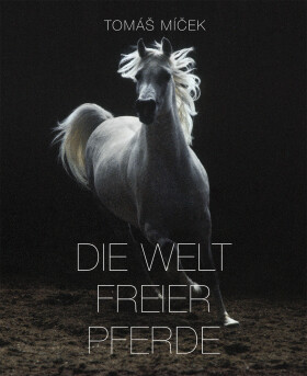 Die Welt Freier Pferde Tomáš Míček
