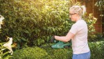 Aku nůžky na živý plot Bosch Easy Hedge Cut 18-45 0600849H02