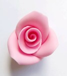 Dortisimo Cukrová růže střední růžová (25 ks)