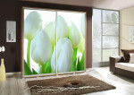 Šatní skříň Penelopa 2 Tulipány Barva korpusu: Kaštan - wenge, Rozměry: 205 cm
