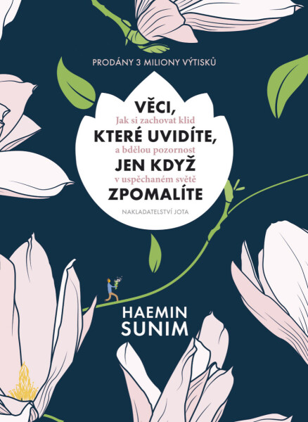 Věci, které uvidíte, jen když zpomalíte - Haemin Sunim