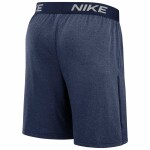 Nike Pánské kraťasy Houston Astros MLB 2024 Authentic Practice Dri-FIT Shorts Velikost: S