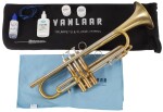 VanLaar Oiram light II Raw Brass