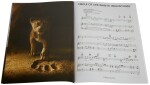 MS The Lion King - PVG