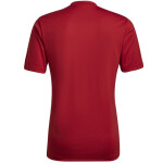 Adidas Entrada 22 Graphic Jersey HB0572