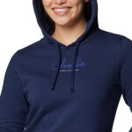 Columbia Trek Graphic Treatment Hoodie W 2051611464 L