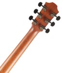 Furch Rainbow G-A W