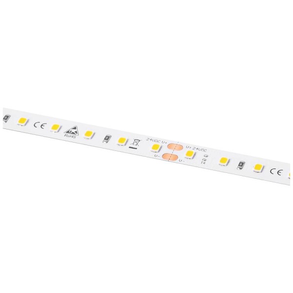 Barthelme LEDlight flex 16 10 LITE RGB, Rolle 500 cm 50415331 LED pásek 24 V 500 cm RGB 5 m