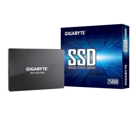 GIGABYTE SSD 256GB SATA EDF_689791