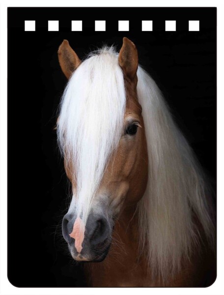 Zápisník 3D - Haflinger A7