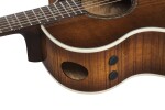 Ibanez AE340FMH Mahogany Sunburst