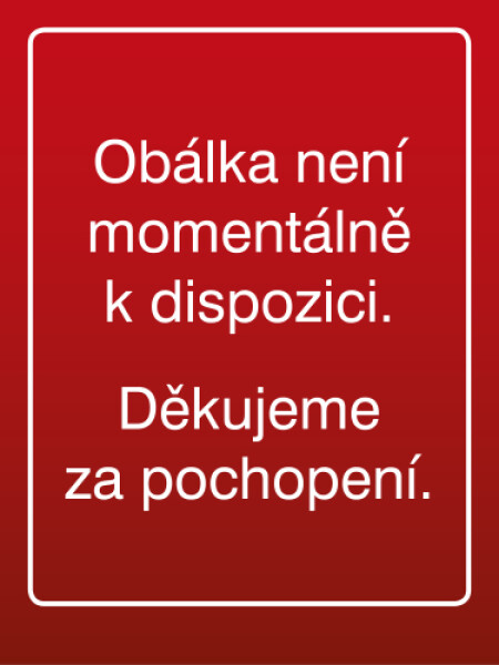 Techniky projektového řízení a finanční analýza projektů - Martina Kuncová
