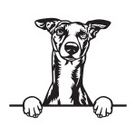 Whippet 2 dřevěná dekorace na zeď Rozměr (cm): 38 x 26