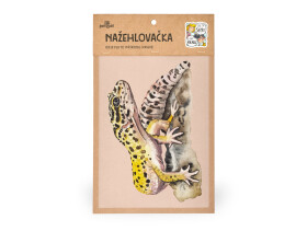 Nažehlovačka M 083 - Gekončík noční