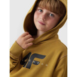 Mikina 4F Jr 4FJAW23TSWSM628-74S 128