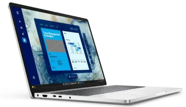 Dell Pro 16 PC16255 platinová / Notebook / 16" FHD+ / AMD Ryzen AI 5 PRO 340 / 16GB / 512GB SSD / W11P (9D9MF)
