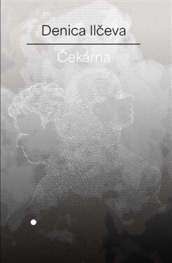 Čekárna - Denica Ilčeva