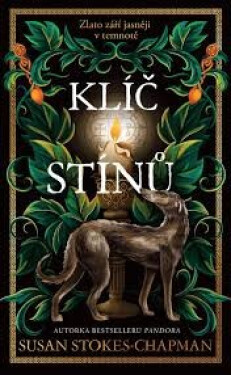 Klíč stínů - Susan Stokes-Chapman
