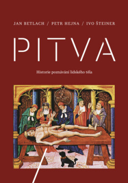 Pitva - Ivo Šteiner, Jan Betlach, Petr Hejna - e-kniha