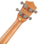 Bamboo U-21 Elixir