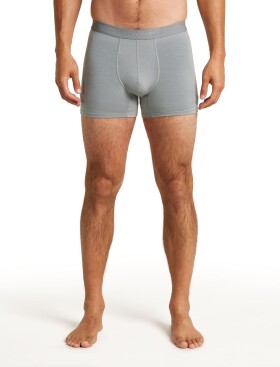 Pánské merino boxerky ICEBREAKER Mens 125 ZoneKnit Boxers, Alloy velikost: S