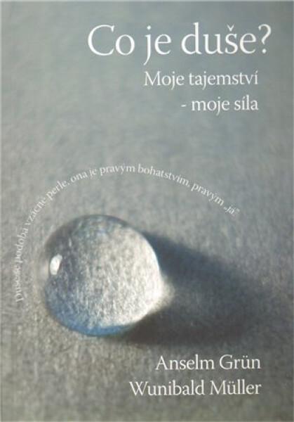 Co je duše? - Anselm Grün