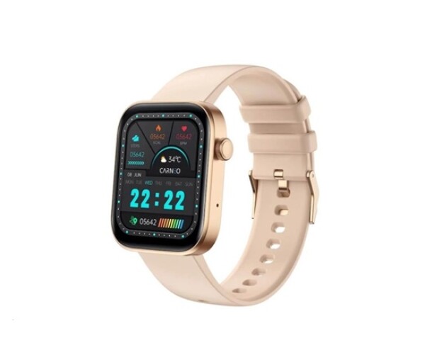 CARNEO Zenith HR+ gold EDF_1886242