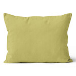 Mikroplyšový povlak na polštář 50x70 cm Olivový