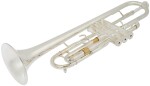 Arnolds & Sons ATR-5200GS Terra