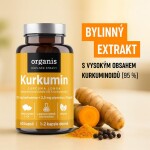 Organis Kurkumin + piperin 60 tbl.