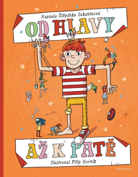 Od hlavy až k patě - Štěpánka Sekaninová