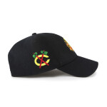 Chicago Blackhawks Sure