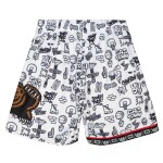 Mitchell & Ness Pánské kraťasy Vancouver Grizzlies NBA Doodle Swingman Shorts Velikost: M
