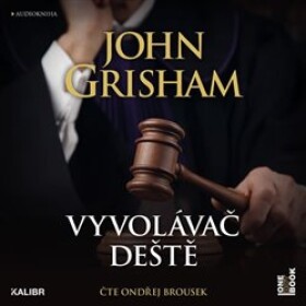 Vyvolávač deště John Grisham