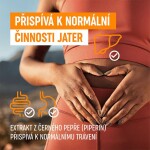 Organis Kurkumin + piperin 60 tbl.