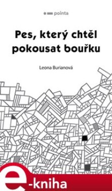 Pes, který chtěl pokousat bouřku - Leona Burianová e-kniha