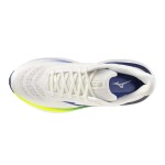 Mizuno Wave Sky 9 J1GC250251 - Běžecké boty Mizuno WAVE SKY 9 J1GC250251 Velikost obuvi v EU: 39