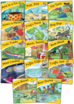 Jolly Phonics Little Word Books (pack of 14) - Wernham Sara
