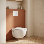 WC závěsné SAT Project včetně prkénka softclose, zadní odpad SATWCPRO010RREXP SATWCPRO010RREXP