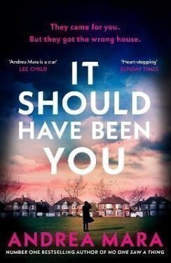 It Should Have Been You - Andrea Mara