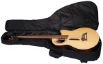 Warwick Rockbass Alien Deluxe, 4-String - Natural Transparent Satin