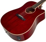 Tanglewood TW5 CE R