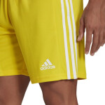 Pánské kraťasy Squadra 21 Short M GN5772 - Adidas xs
