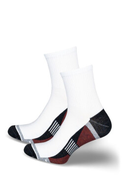 Pánské ponožky ACTIVE 0224.047 BARVA 2 41-43