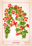 Nástěnný kalendář 2026 Helma - Herbarium, 31,5 x 45 cm