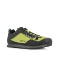 Alpina LIN LIME 43 622F2K-43