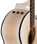 Taylor 614ce LTD 50th Anniversary